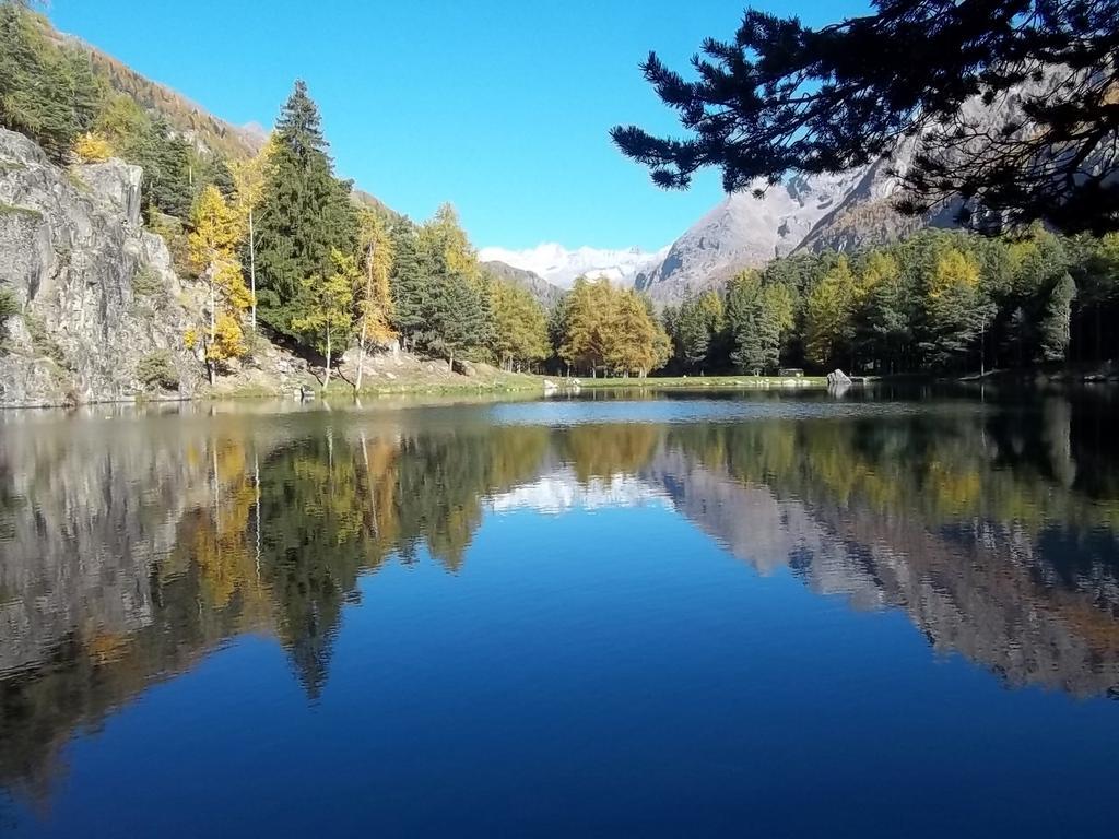 Albergo Valentino Bionaz Dış mekan fotoğraf